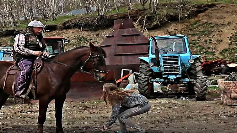 Rocket the horse ready for duty