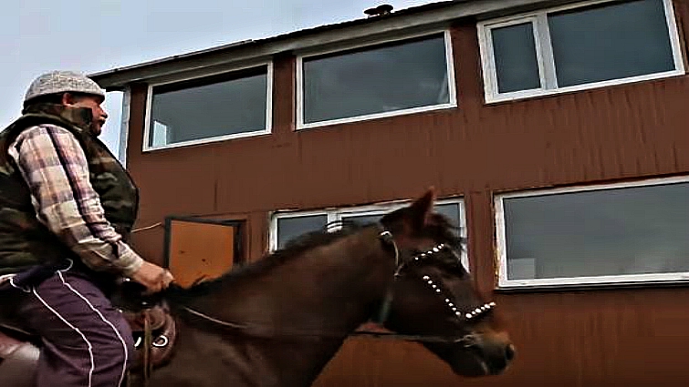 Horse transportation solution