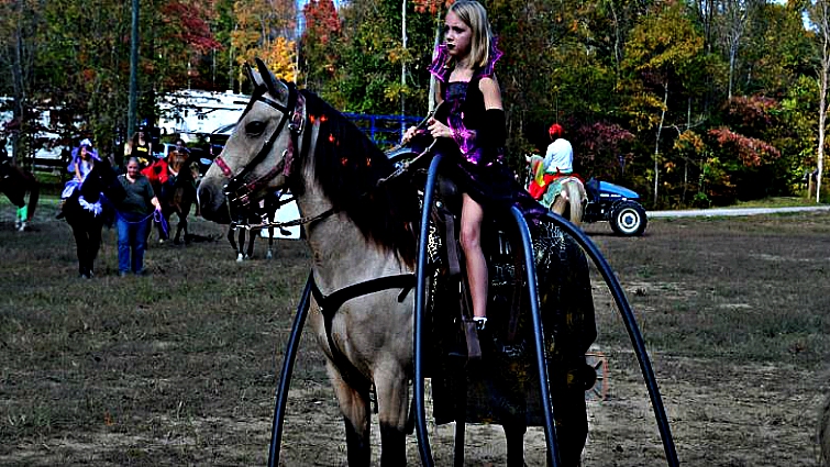 Creative Halloween horse costume example