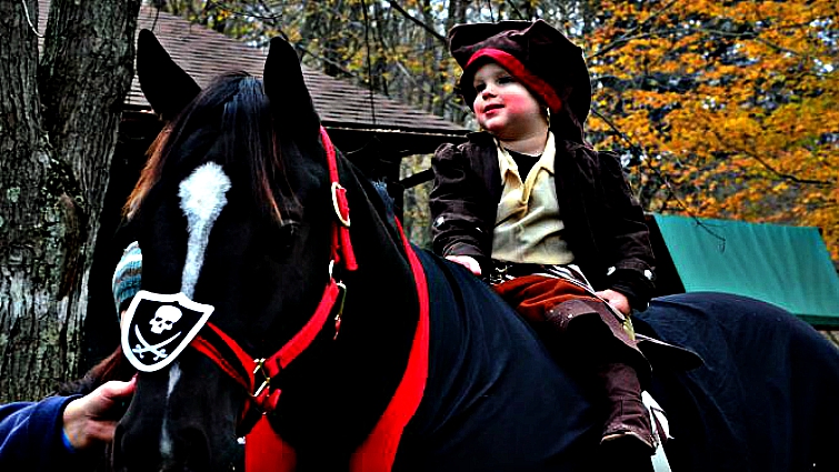 Horse wearing Halloween costume