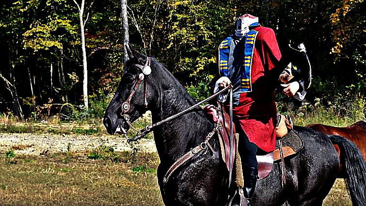 Unique horse Halloween costume design