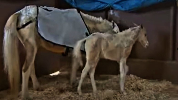 This image has an empty alt attribute; its file name is hmsf9.jpg