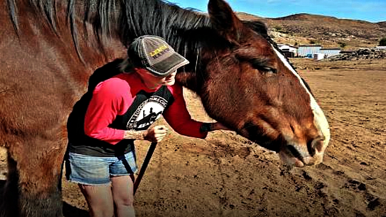 Horses at Lemon Ranch animal sanctuary