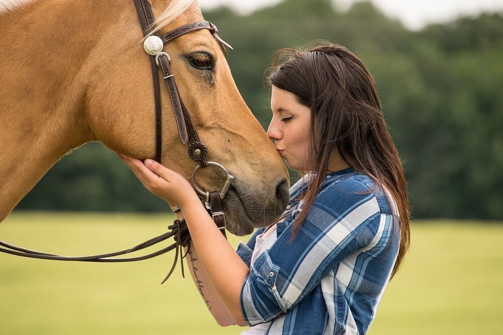 Horse and rider emotional bond