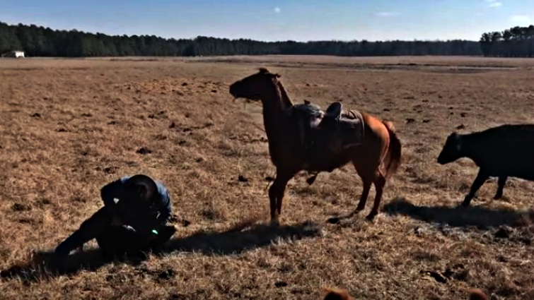 Rancher and loyal horse working on ranch