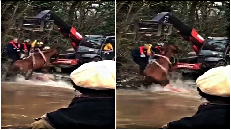 Emergency rescue team at work