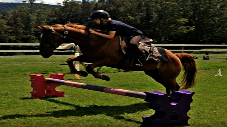 Equestrian training and progression