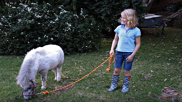 Advanced horsemanship and bareback riding
