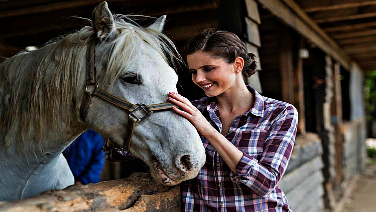 Horse sensing human emotion