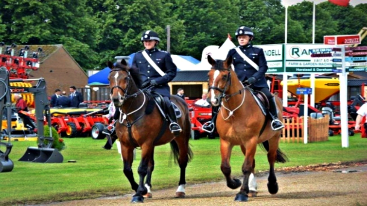 Police horse Wilson in service