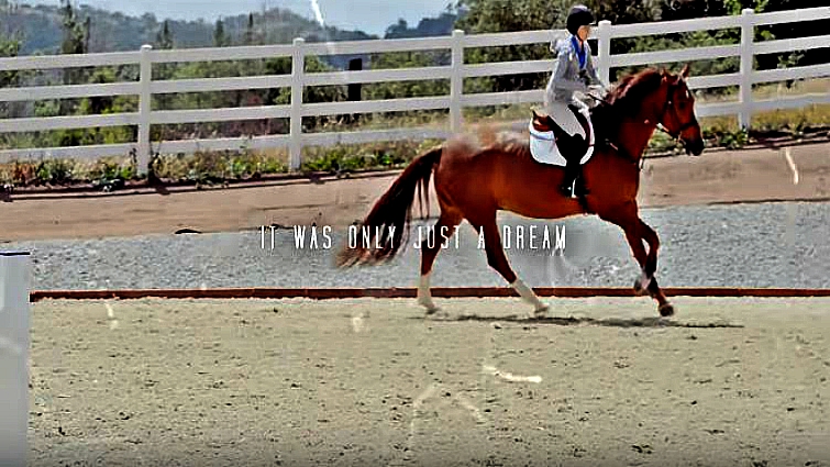 Rider and horse bond