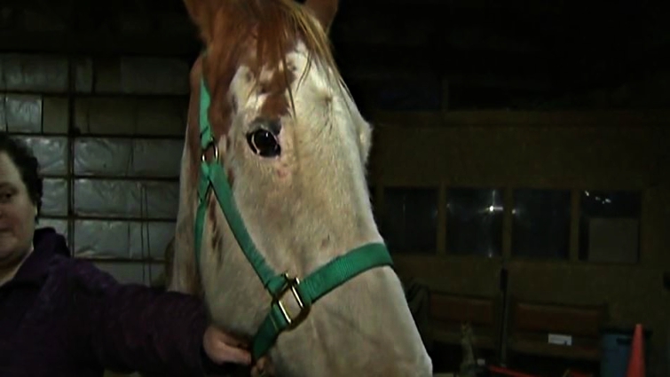 Joline during recovery