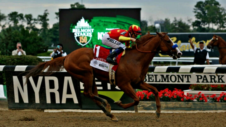 Foreign Affair and foal
