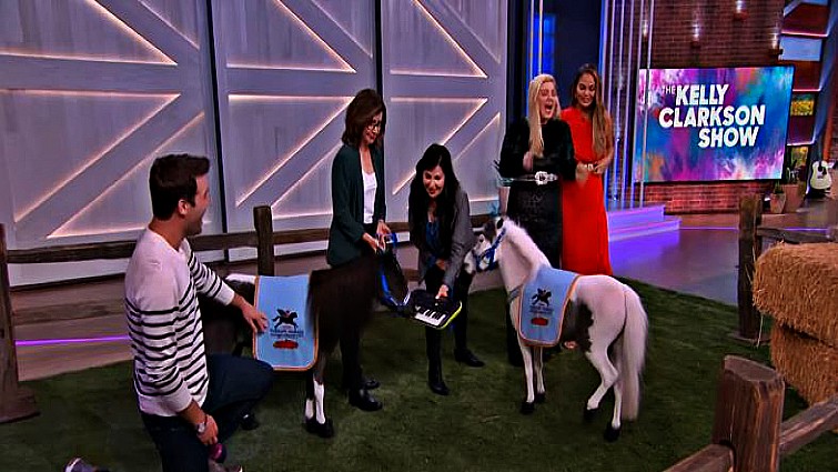 Chrissy Teigen with mini therapy horse