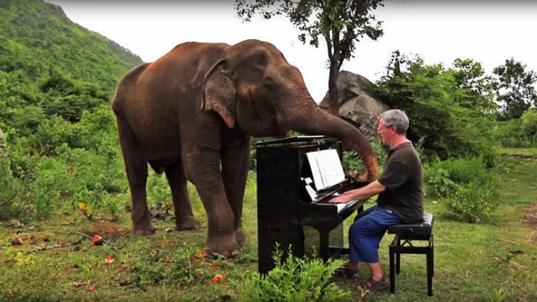 Paul Barton playing piano for Lam Duan