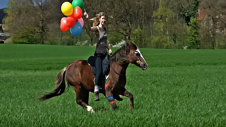 Lenny the horse with his owner