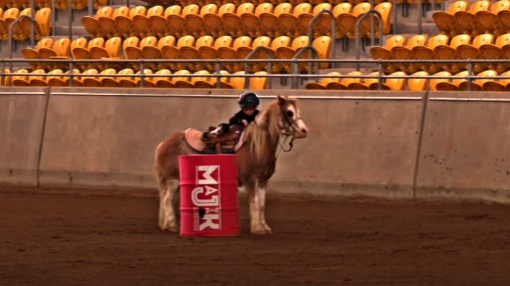 This image has an empty alt attribute; its file name is lbrf3.jpg