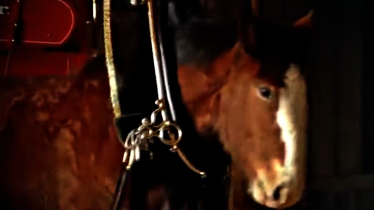 This image has an empty alt attribute; its file name is lfls3.jpg