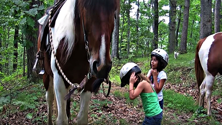 Two young girls with a giant horse