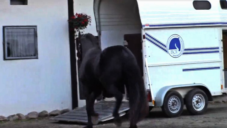 This image has an empty alt attribute; its file name is lhit6.jpg