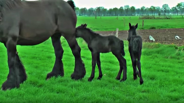 This image has an empty alt attribute; its file name is lifi3.jpg