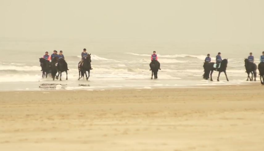 Riders gathering for beach ride