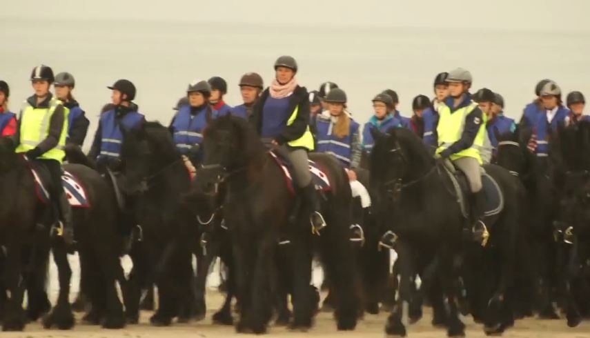 Friesian beach ride participants