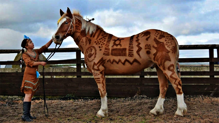 Horse coat clipping art by Melody Hames