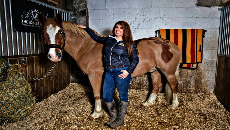 Detailed horse coat clipping design