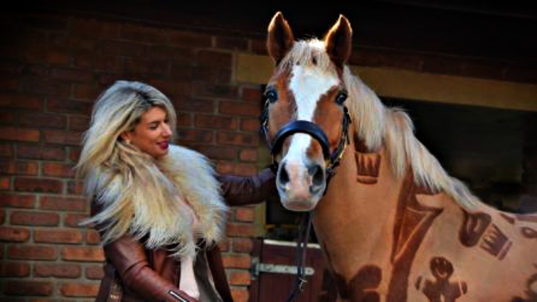 Romeo the horse with clipping art