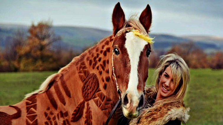 Horse clipping art process