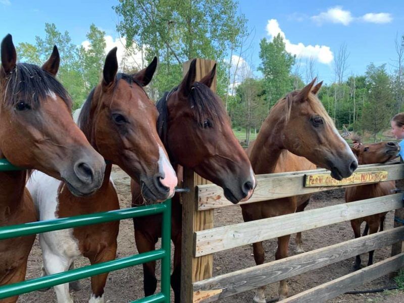 This image has an empty alt attribute; its file name is memb_331_115974623_10222512682023980_2403842988083324832_n_1598902012.jpg