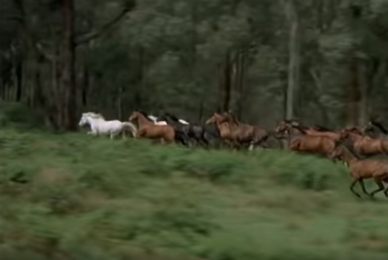 The Man from Snowy River movie scene