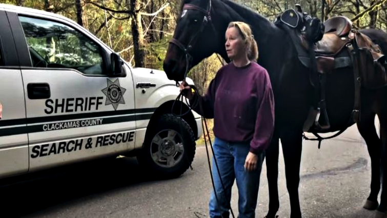Community heroes horse and dogs rescue