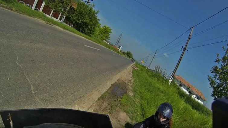 Safe distance between vehicles and animals