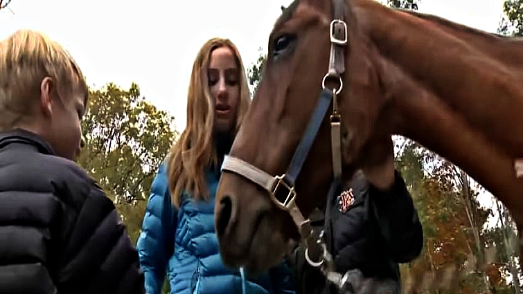 This image has an empty alt attribute; its file name is mnf3.jpg