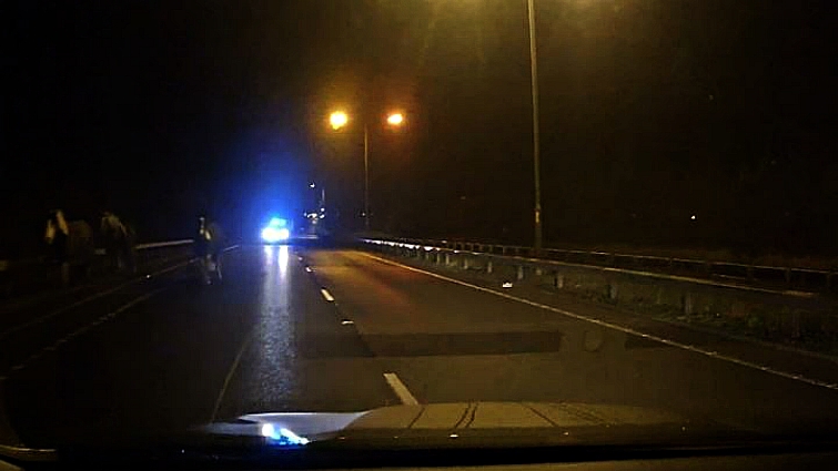 Dashboard camera footage of runaway horses