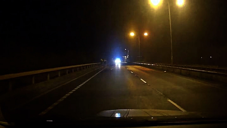 Runaway horses on highway at night