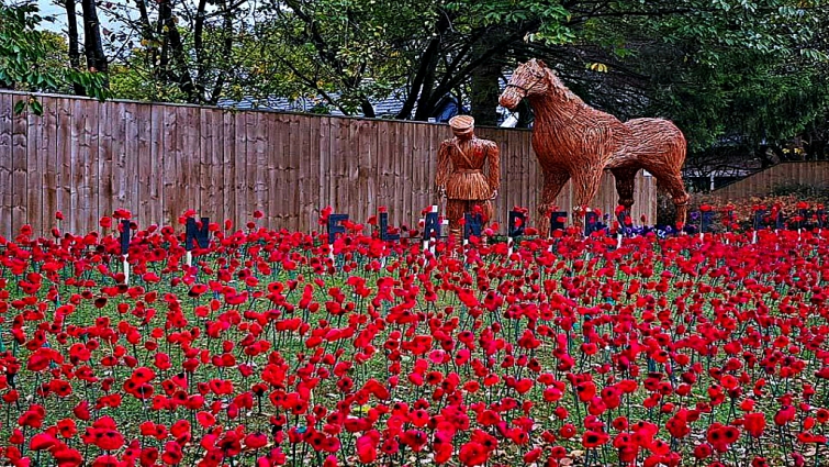 War horses memorial service