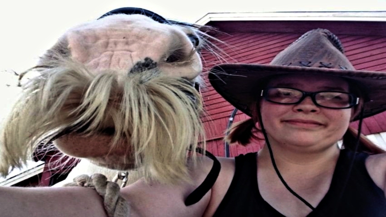 Horse with stylish mustache