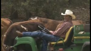 George Strait equestrian portrait
