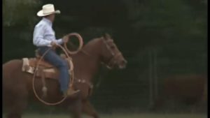 Country music and horses heritage
