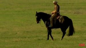 Building trust with horses