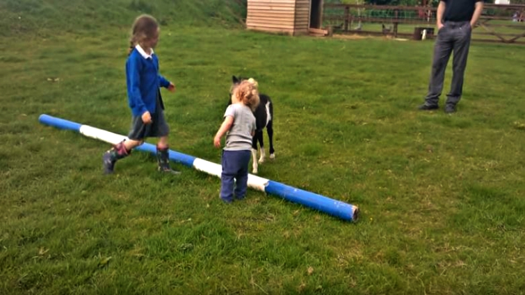Toddler hugging Shetland pony