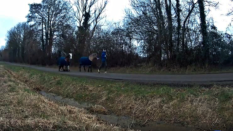Horse person morning routine
