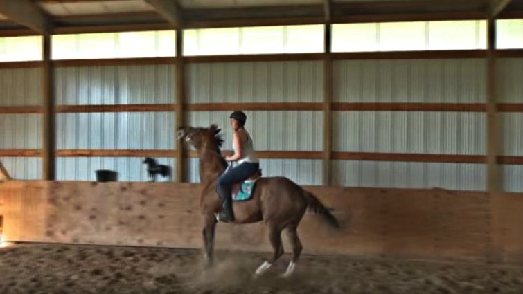Mare showing bucking behavior