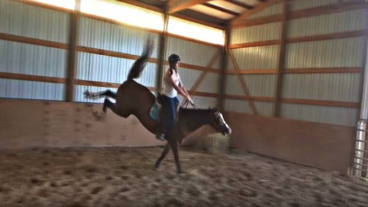 Mare moving energetically