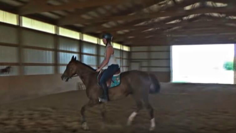 Happy mare and rider together