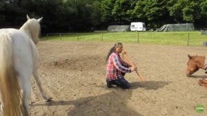 Contrabass flute performance for horses