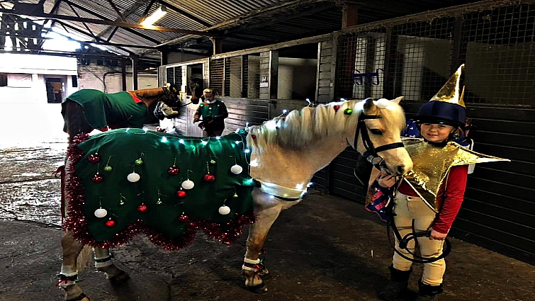 Sonny the beloved family pony